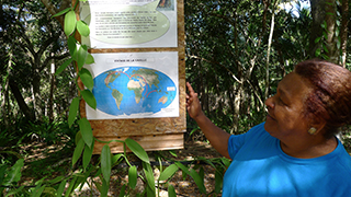 Nicole - Camping in the vanilla plantation